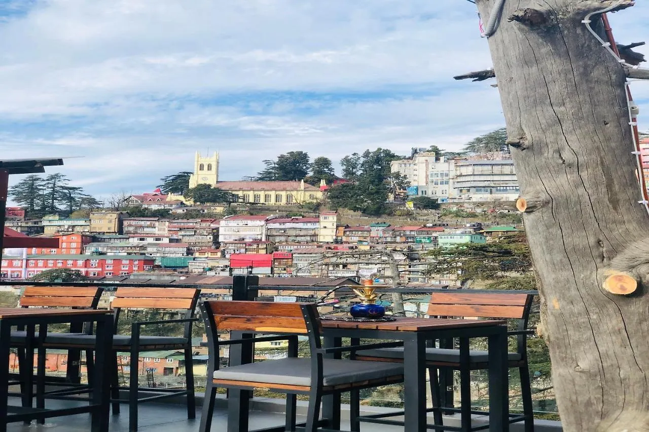 Hotel Willow Banks - Boutique 4 Star Hotel On The Mall Road Shimla
